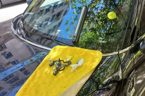 Видалення тріщин на лобовому склі: ціна, якість і поради для киян
